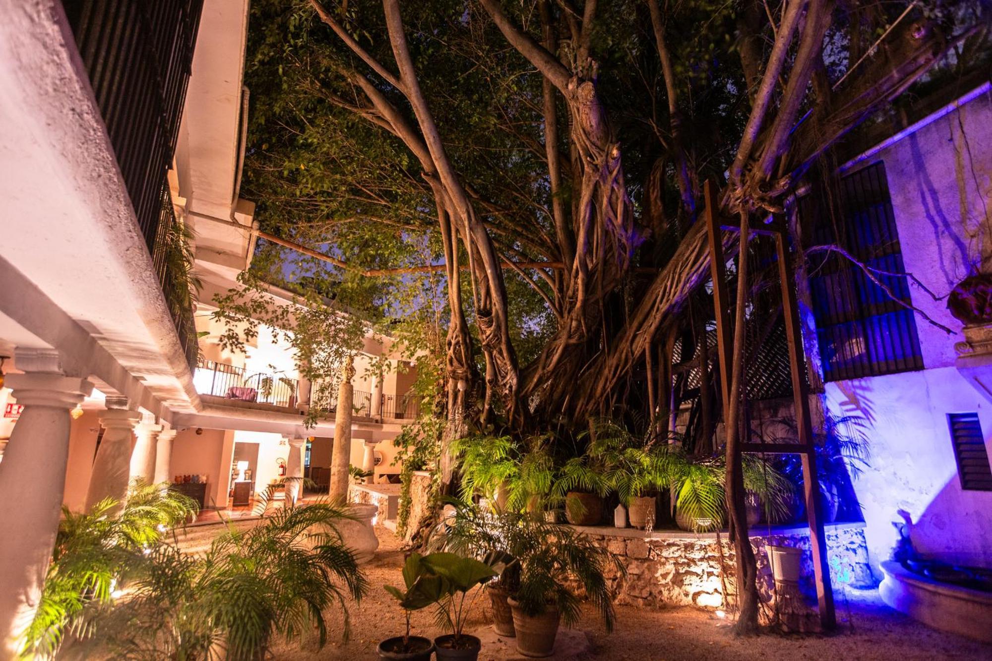 Acqua In Bocca Hotel Merida Exterior photo